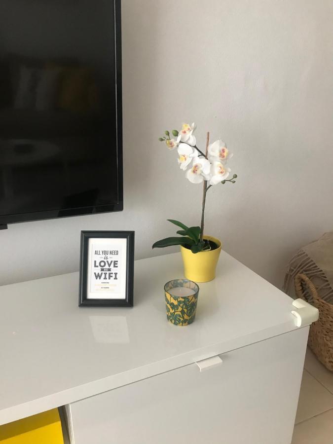 Designer'S Flat - 3 Bdrm - Wifi - Best Location Alicante Exteriér fotografie